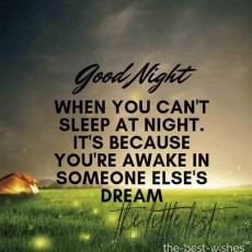 35+ Good Night Quotes To Exchange Before Sleep