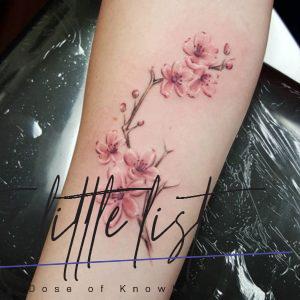 Tender Selection Of Cherry Blossom Tattoo For Your Inspiration