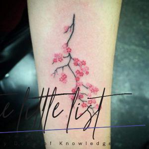 List : Tender Selection Of Cherry Blossom Tattoo For Your Inspiration