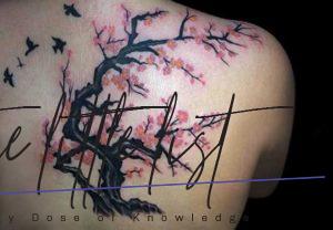 Tender Selection Of Cherry Blossom Tattoo For Your Inspiration