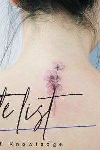 Tender Selection Of Cherry Blossom Tattoo For Your Inspiration