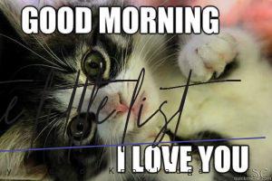 List : 18 Super Cute I Love You Meme Pictures