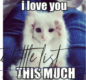 18 Super Cute I Love You Meme Pictures