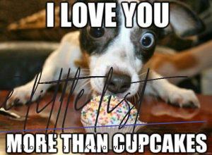 18 Super Cute I Love You Meme Pictures