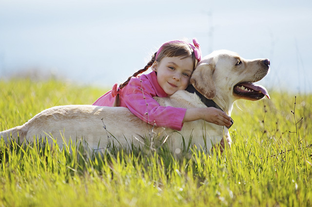 Get inspired by sentences like this: "There is no truer friendship than that of a dog and a child." 