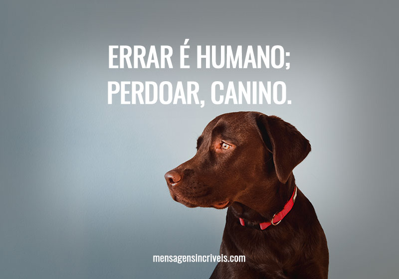 To err is human;  forgive, canine.