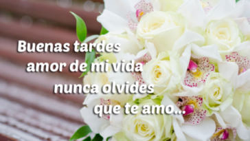 Best Phrases by BUENAS TARDES Amor ¡¡Muy Bonitas para Dedicar!!