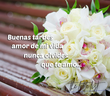 Best Phrases by BUENAS TARDES Amor ¡¡Muy Bonitas para Dedicar!!