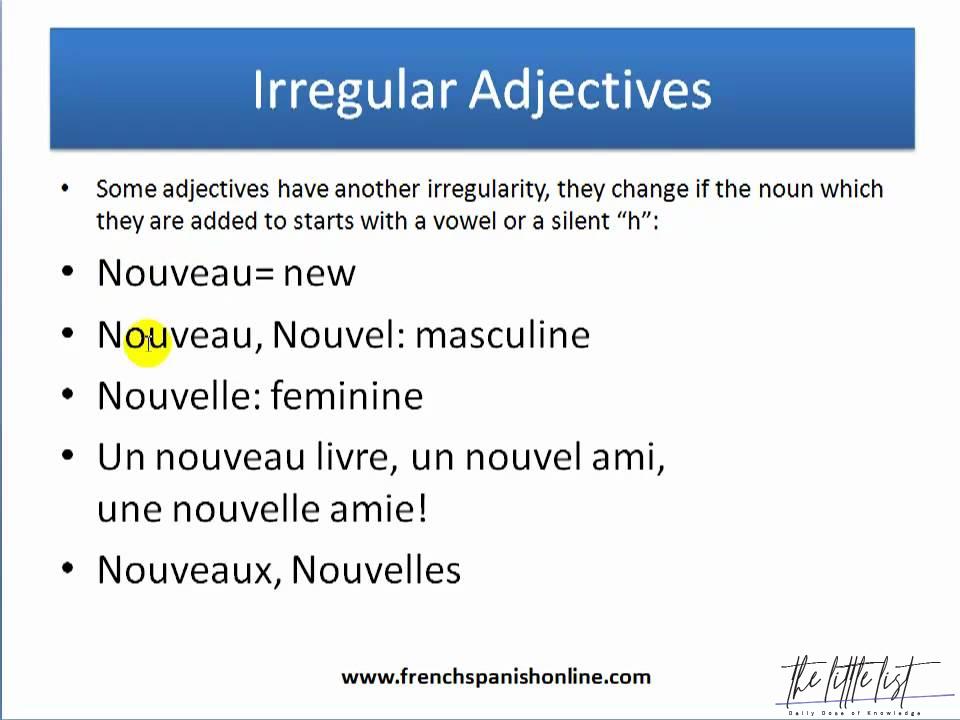 Is Fox masculine or feminine in French?