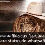 Sertanejas Music Phrases - Excerpts from Music