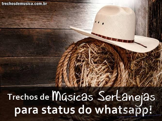 Sertanejas Music Phrases - Excerpts from Music