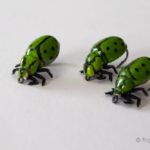 What does it mean if a green ladybug lands on you?
