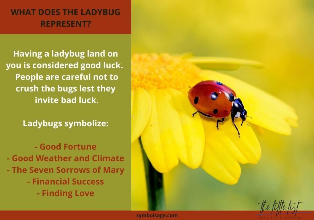 What ladybugs symbolize?