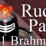 Which surnames are Brahmins?