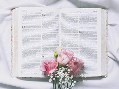 50 Short Bible Phrases to Strengthen Your Faith
