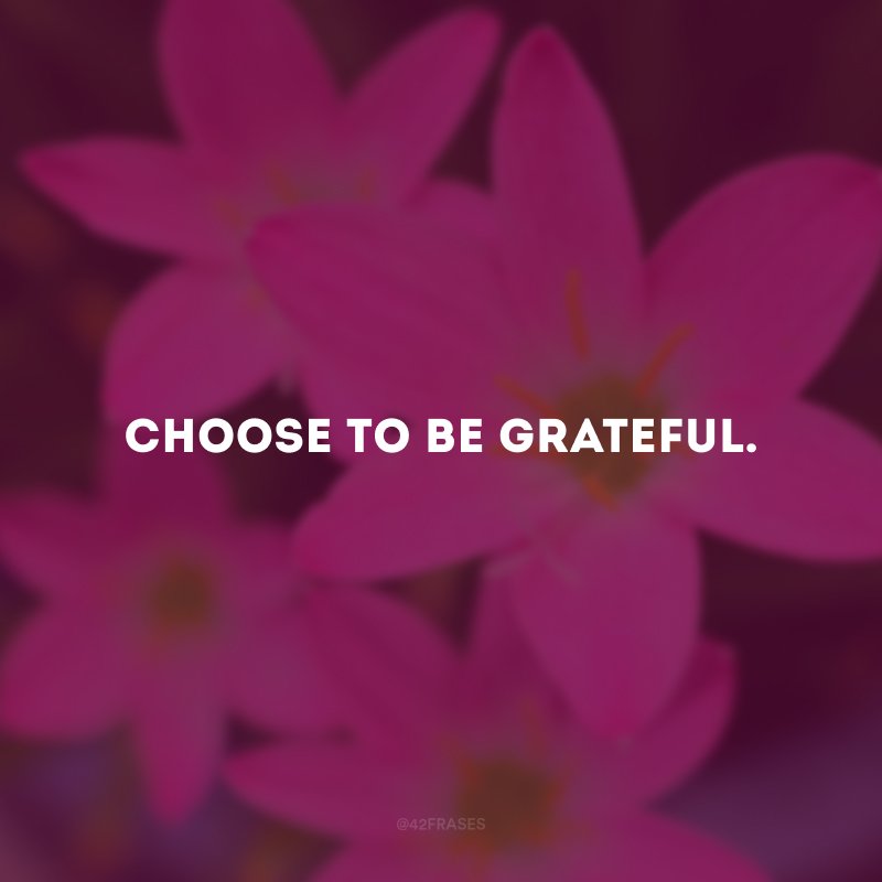 Choose to be grateful.  (Choose to be grateful.)