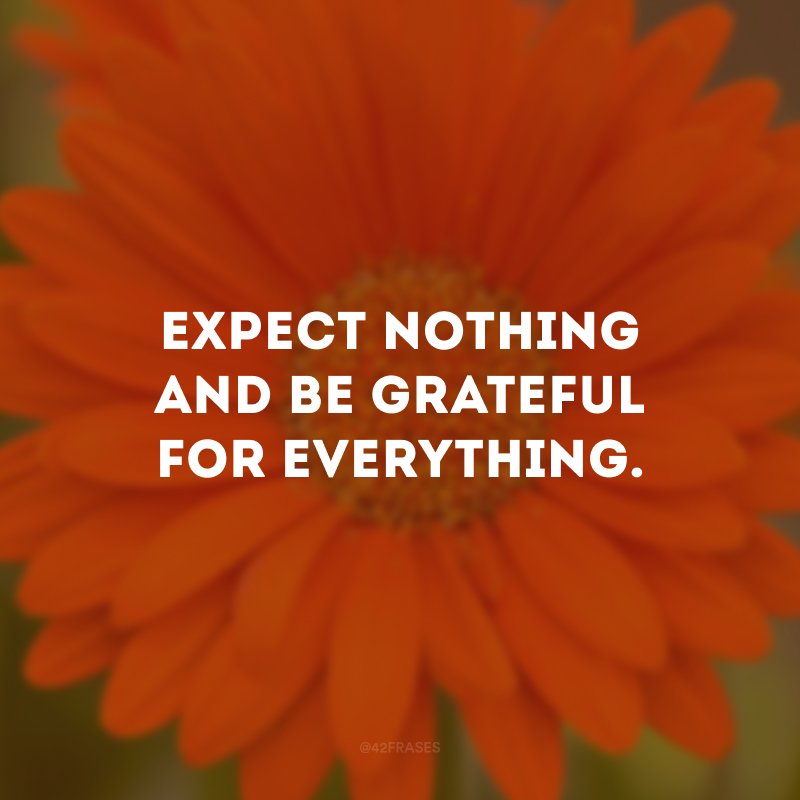 Expect nothing and be grateful for everything.  (Don't expect anything and be grateful for everything.)