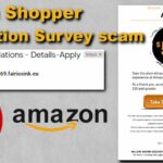 Are Amazon shopper survey legit?