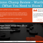 How much can you make from Opinion Champ?