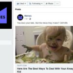 How much do meme pages make on Facebook?