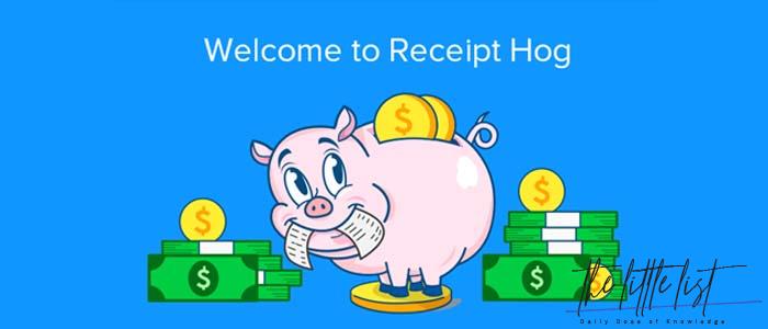 How much is 100 coins Receipt Hog?
