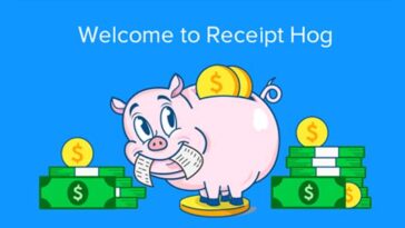 How much is 100 coins receipt hog?