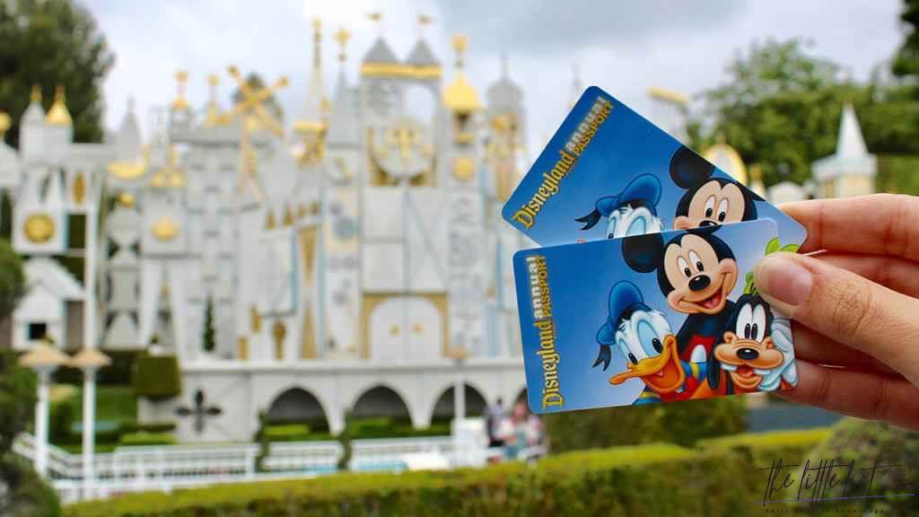 Can a family member use my Disney annual pass?
