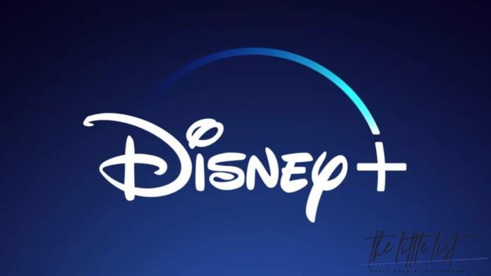 Does Disney Plus support multiple users?