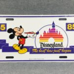 Does Disney sell license plates?