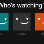 How do I give someone access to my Netflix?
