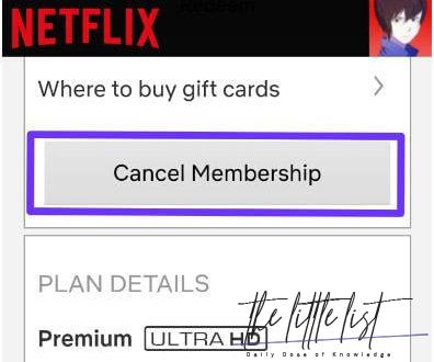 How do I turn off automatic payments for Netflix on Paytm?