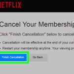 How do you delete a Netflix Account on Iphone?