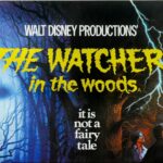 Is Watcher in the Woods on Netflix?