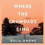 Where the Crawdads Sing a true story?